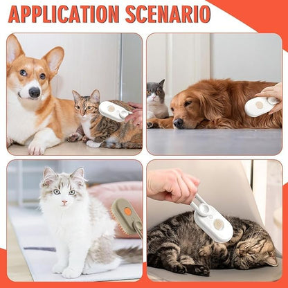 7646